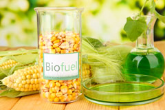 Salden biofuel availability