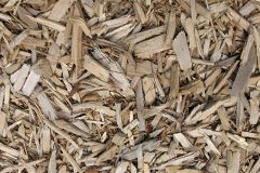 biomass boilers Salden