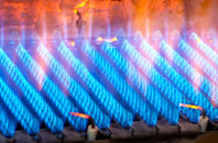 Salden gas fired boilers